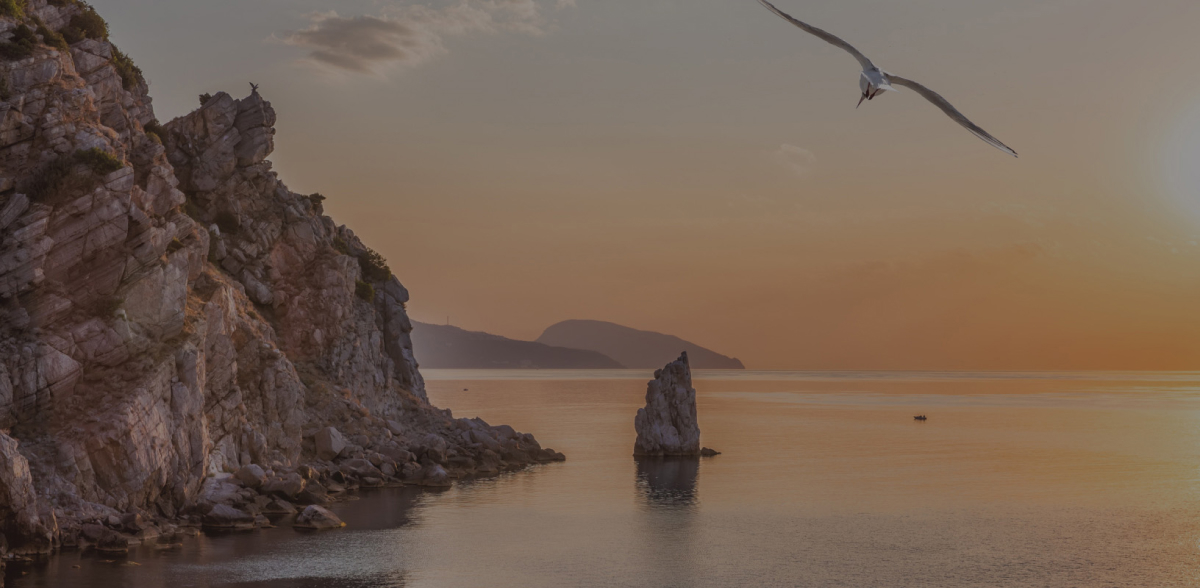 img: beautiful image